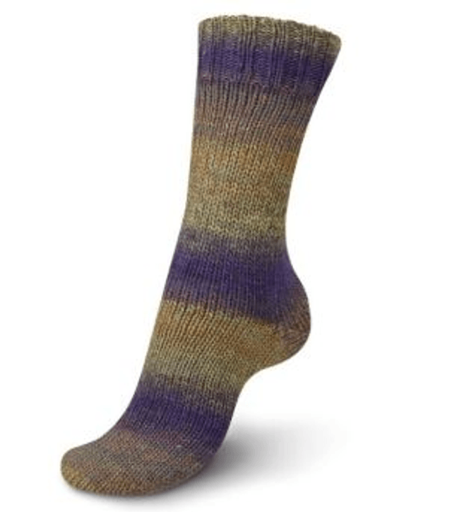 Regia virtuoso color