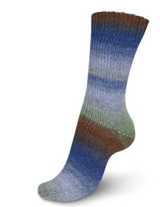 Regia virtuoso color