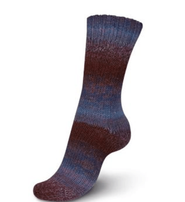 Regia virtuoso color